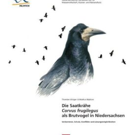Die Saatkrähe als Brutvogel in Niedersachsen